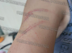 В Рассказове семью проверят после появления видео с избиениями детей