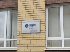 УФАС не позволило «Россетям» «обескровить» тамбовских энергетиков 