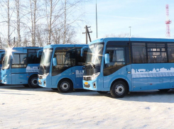 В Тамбове на Рождество верующим обеспечат транспорт ночью