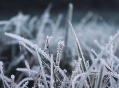 На выходных в регионе ожидаются заморозки 