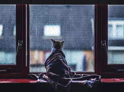 В Тамбовской области в выходные ожидается сильный ветер, дожди и туман