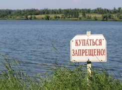 Роспотребнадзор «забраковал» три пляжа в Тамбове