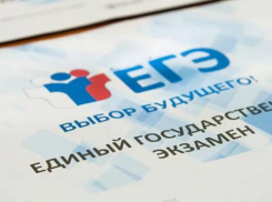 Двое тамбовских выпускников набрали 200 баллов по ЕГЭ