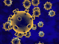 В Тамбовской области за сутки коронавирус выявлен ещё у 36 человек