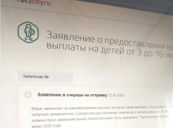 Как получить выплату 10 тысяч на ребёнка, если портал Госуслуг перегружен?