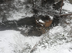 В Тамбове в очередной раз обнаружен сброс канализации в Студенец