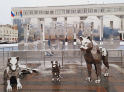 Тамбовская область примет белгородских школьников на отдых