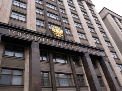 Доход самого состоятельного депутата Госдумы от Тамбовской области вырос вдвое