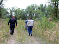 Пропавшего под Моршанском 12-летнего мальчика нашли живым