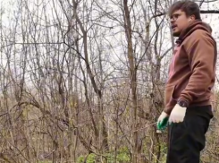 Тамбовский блогер взялся за уборку лесов в одиночку