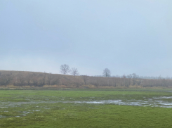 В Моршанском округе незаконно спустили пруд