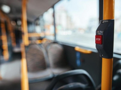 Водителю автобуса, высадившего подростка в Мичуринске, грозит штраф