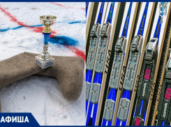 Тхэквондо, хоккей в валенках и коньки: афиша спортивного отдыха в Тамбове