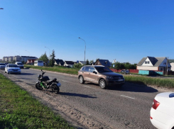 На севере Тамбова мотоциклистка сбила собаку