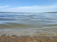 В Тамбовской области намереваются провести чемпионат России по ловле рыбы донной удочкой