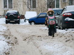Бремя уборки общественных территорий власти официально переложили на тамбовчан