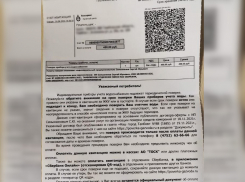 Тамбовчанам подсовывают рекламу, очень похожую на платёжки 