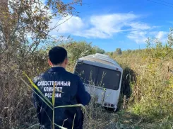 В Мичуринском округе пассажирский автобус слетел в кювет, пострадало несколько пассажиров