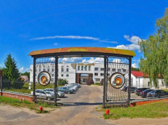 «Котовский лакокрасочный завод» снова выставили на продажу со скидкой