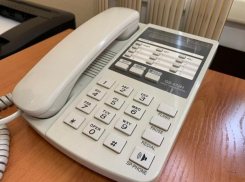 «Горячую линию» по вопросам мобилизации открыли в областной прокуратуре