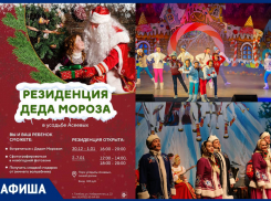 Предновогодние концерты и мероприятия в афише «Блокнот Тамбов» 