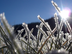 Заморозки до -1 ожидаются в ночь на вторник в Тамбове и области 