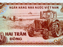 Взятку в 50 тысяч рублей получил за получение водительских удостоверений сотрудник Гостехнадзора 