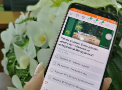 Мичуринцам предлагают выбрать дизайн арт-объекта на набережной