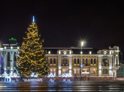 Администрация Тамбова перенесла сроки установки главной городской ёлки