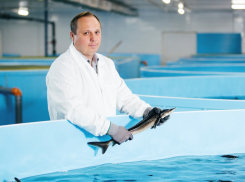 Тамбовское ООО стало лучшим агропромышленным предприятием страны