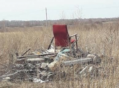 В Татаново рядом с жилыми домами устроили скотомогильник