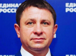 Суд приостановил дело по лишению Дениса Илларионова мандата