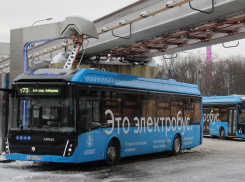 В Тамбове власти решили опросить жителей по поводу электробусов