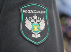 Россельхознадзор изъял у Зураба Шамояна земельный участок