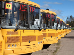 До конца 2019 года в школы поступят 52 новых автобуса