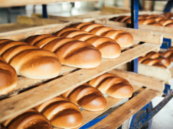 Бывшее руководство «Мичуринского хлебозавода» могут привлечь к ответственности по долгам предприятия