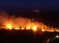 В тамбовской области произошло два крупных лесных пожара