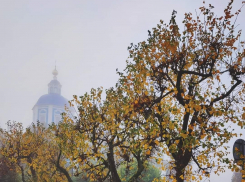 На праздники в Тамбове будет туманно и снежно