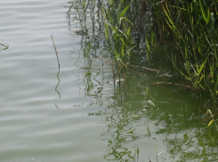 Расчисткой Цны в Тамбове займётся небезызвестная компания «Стинэк»