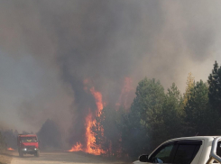 Пожары в Тамбовской области отмечены как минимум в четырёх округах