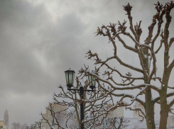 Снежная Королева добралась до Тамбова