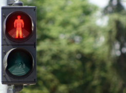 Суд обязал администрацию Моршанского района установить светофор у школы в селе Устье