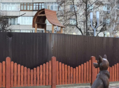 Детский городок на Набережной Тамбова станет местом преступления?