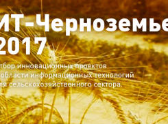 Конкурс инновационных проектов «ИТ-Черноземье» впервые фонд «Сколково» проведет в Тамбове 