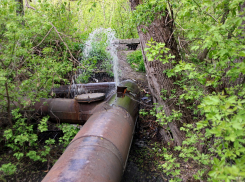 Во время субботника на Студенце в реку снова полились канализационные стоки