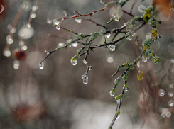 В Тамбове ожидается аномальное потепление