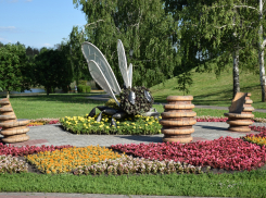 В разных частях Тамбова появились новые цветники