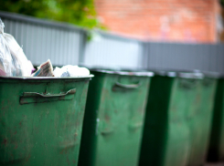 Тамбовский областной суд отказал в иске Роману Герасимову о «незаконности» тарифа на вывоз ТКО