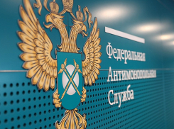 Тамбовские антимонопольщики оштрафовали «Россети Центр» на 650 тысяч рублей