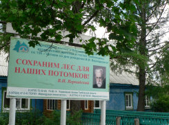 На территории памятника природы в Пичаевском районе обнаружена незаконная стройка